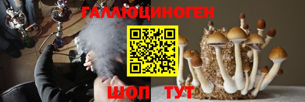 Галлюциногенные грибы Psilocybine cubensis  Вход с VPN  Курчатов 