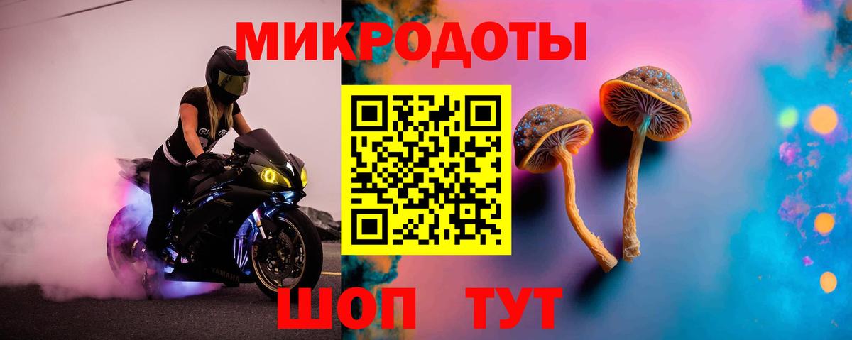 Галлюциногенные грибы Cubensis Курчатов